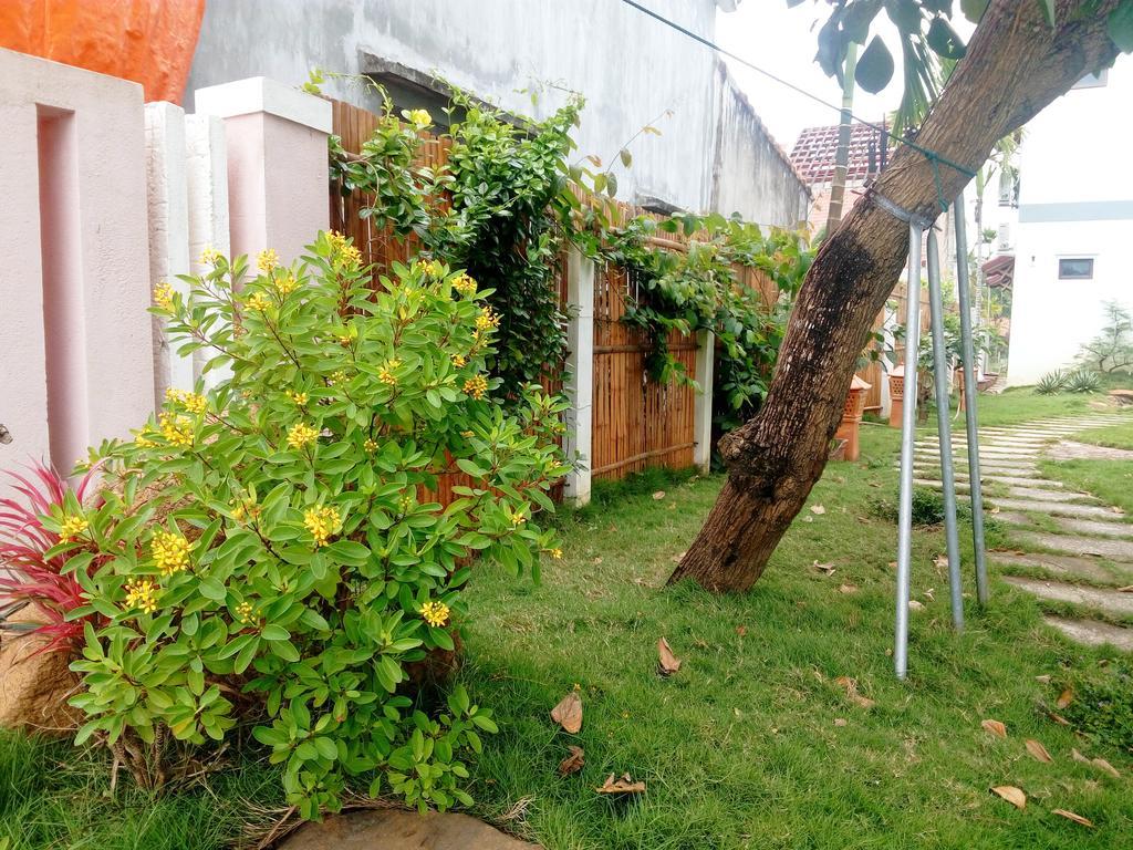 The Field Homestay Hoi An Exteriér fotografie