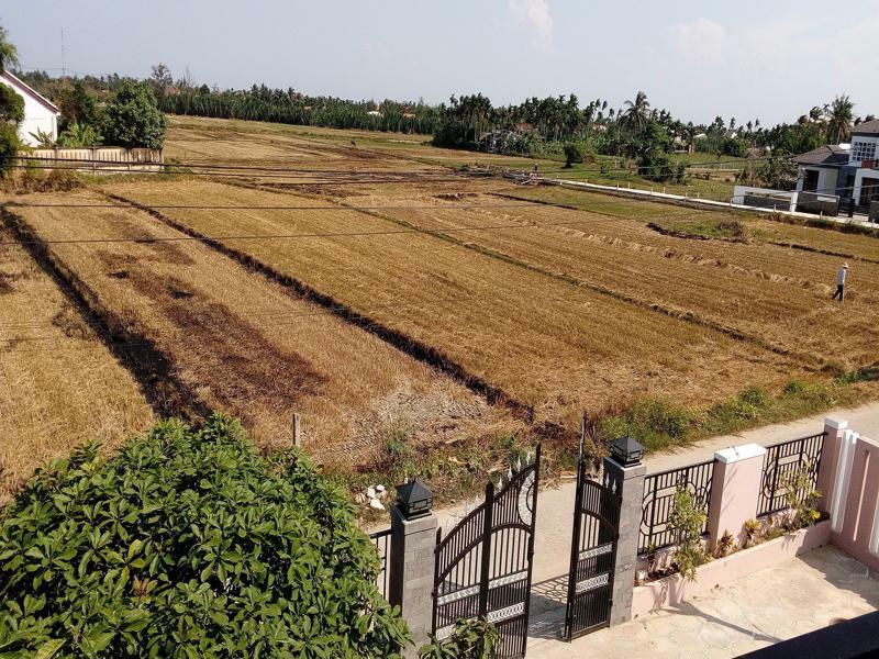 The Field Homestay Hoi An Exteriér fotografie