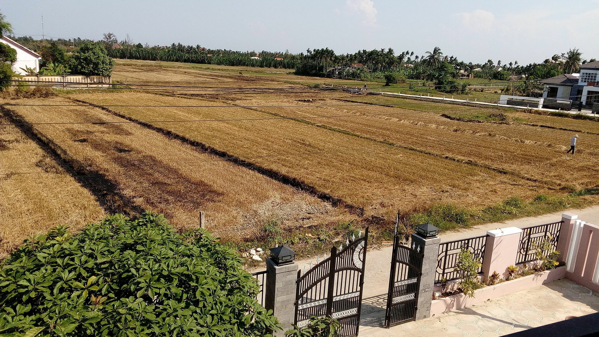 The Field Homestay Hoi An Exteriér fotografie